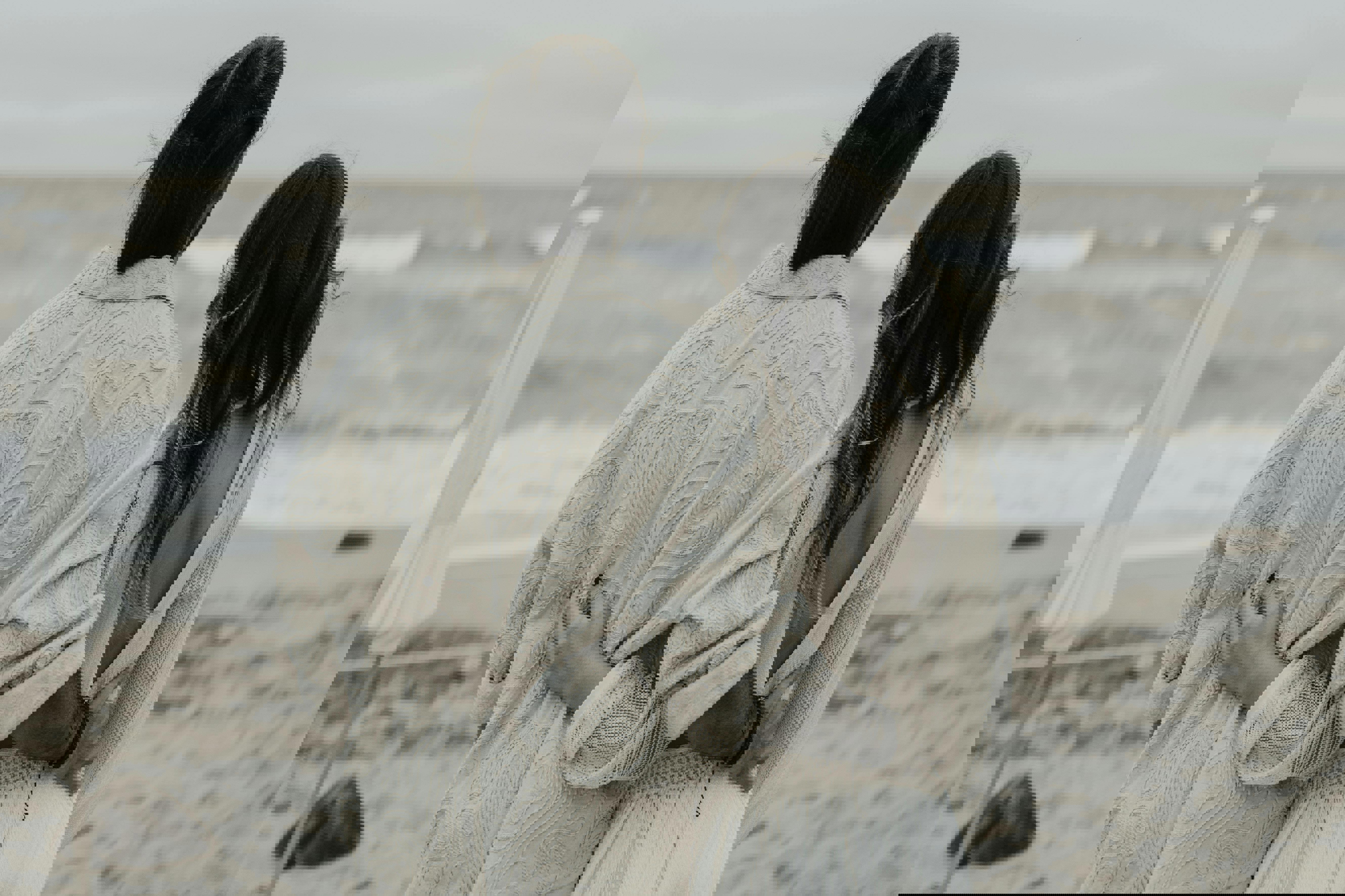 Dating i Ebeltoft – hvorfor byen er perfekt til romantik