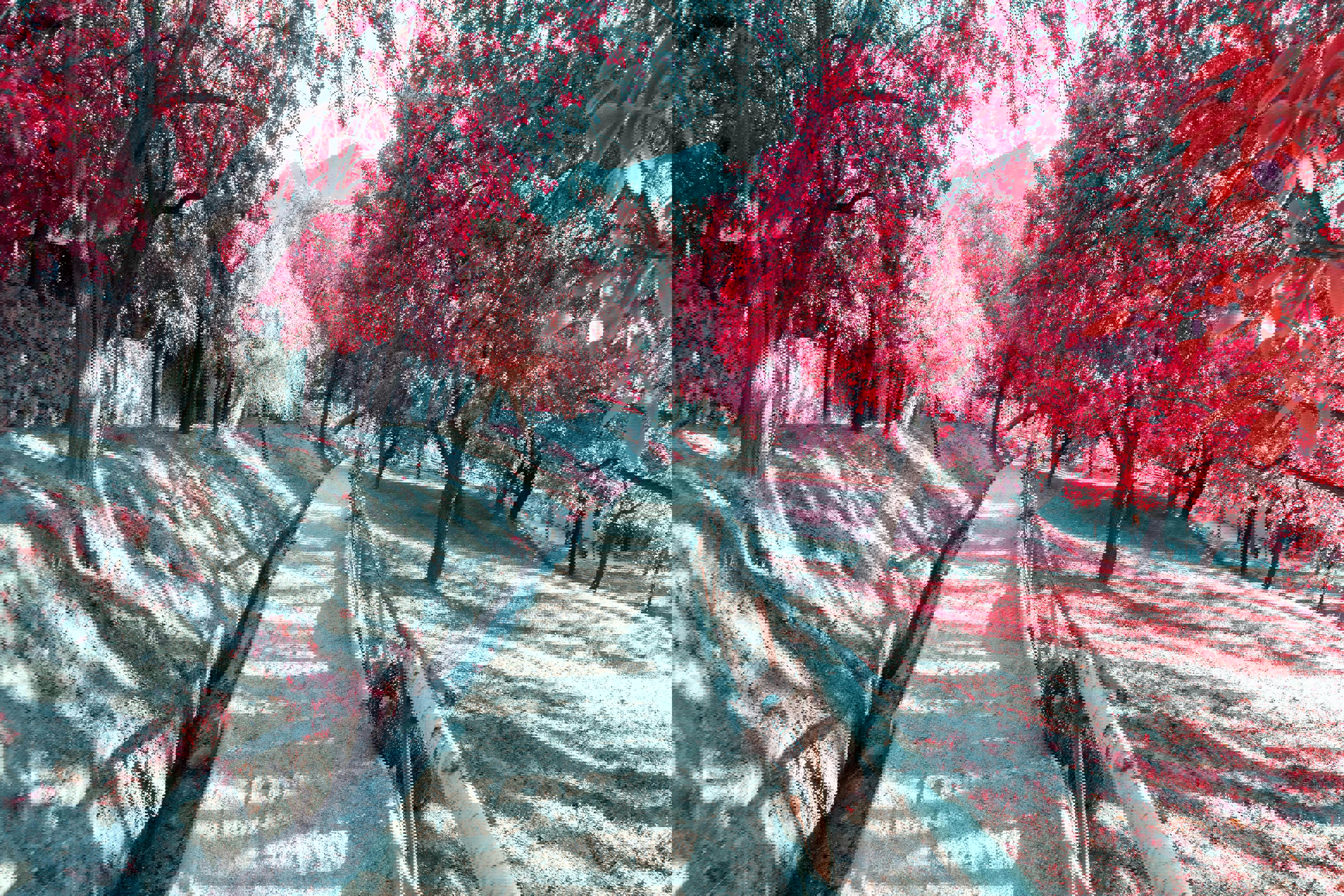 Dating i Helsingør – her møder du en ny partner