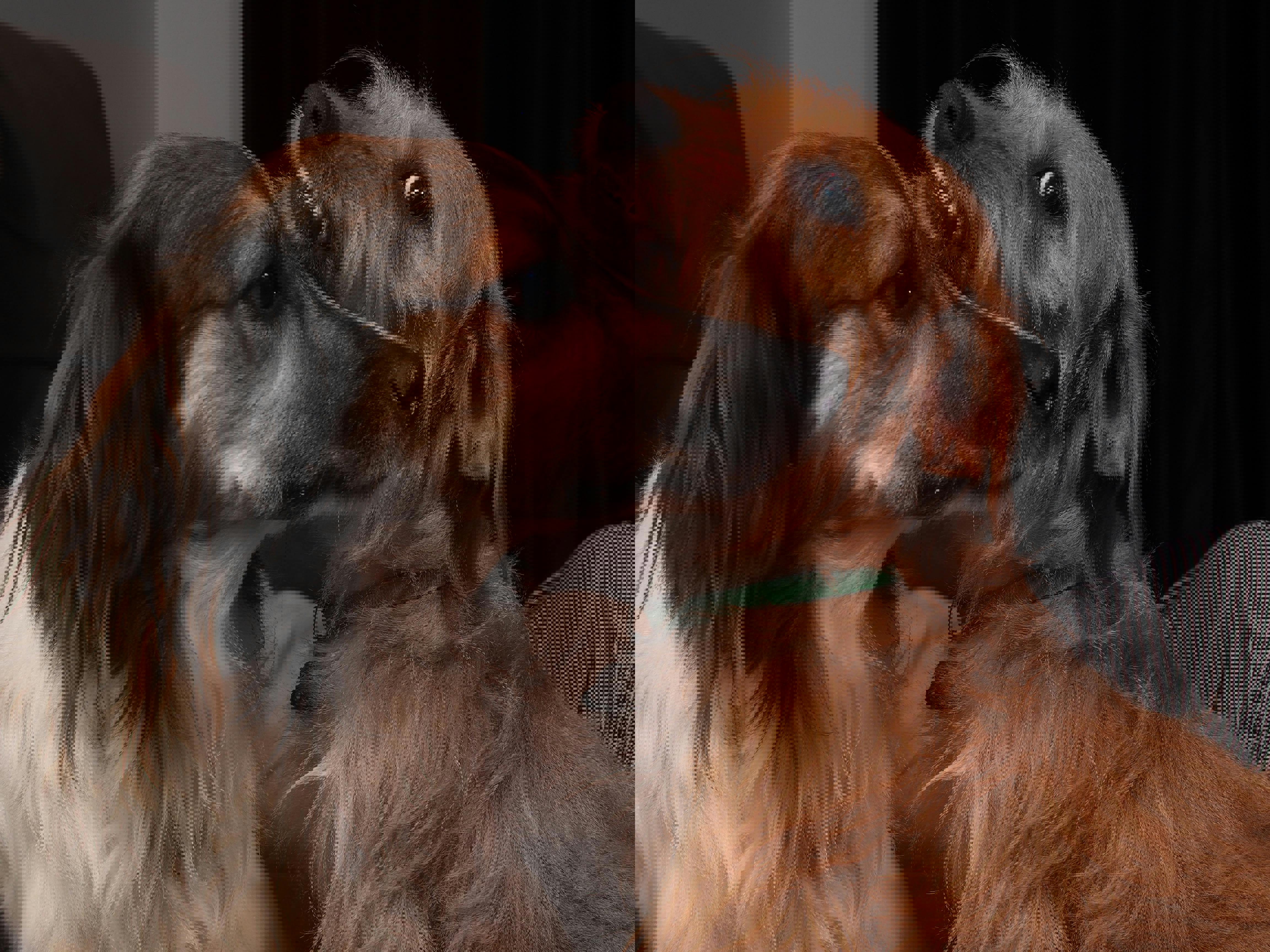 romantic experiences in nature