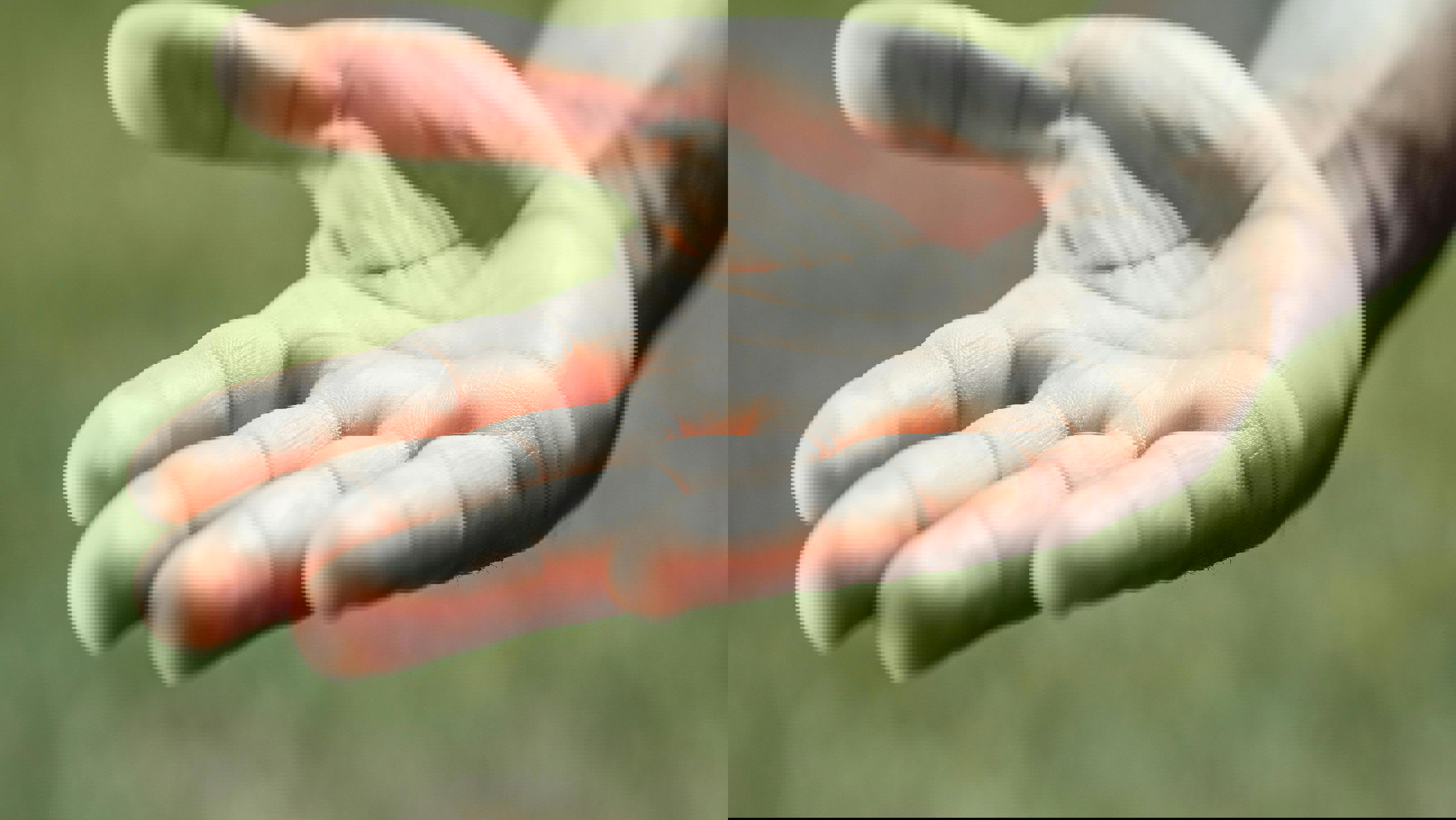 Hvordan viser du, at du er åben og imødekommende?